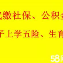 西安金領人力資源信息咨詢服務有限責任公司 專業(yè)信息咨詢服務的全面解析